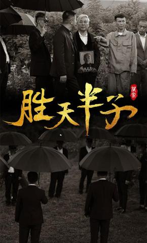 短剧胜天半子海报