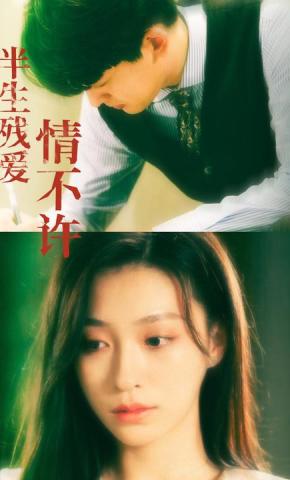 短剧半生残爱情不许海报