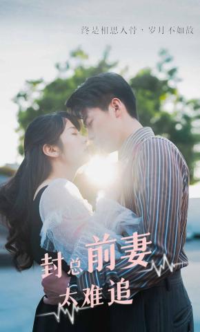 短剧《封总前妻太难追》海报