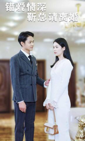 短剧《错爱情深，靳总请离婚》海报