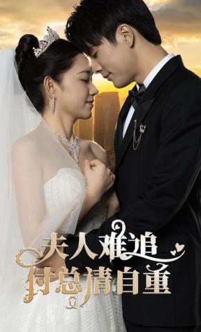 短剧夫人难追，付总请自重海报