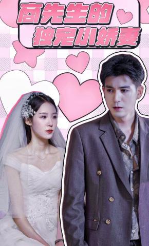 短剧商先生的独宠小娇妻海报