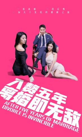 短剧入赘五年，离婚即无敌海报