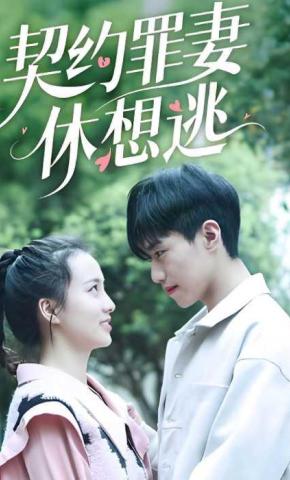 短剧契约罪妻休想逃海报