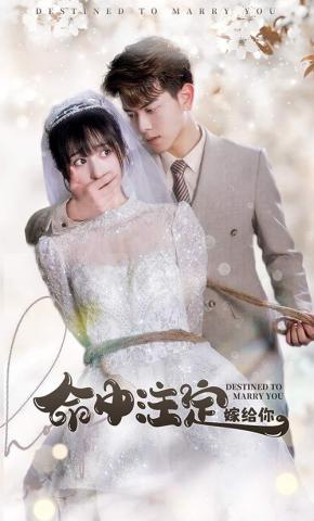 短剧《命中注定嫁给你》海报