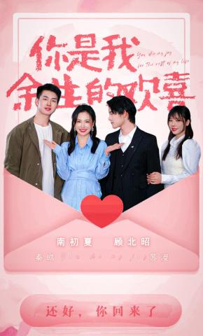 短剧你是我余生的欢喜海报