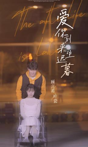 短剧《爱你到来生迟暮》海报