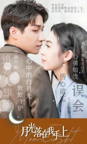 短剧《月光落在我手上》海报