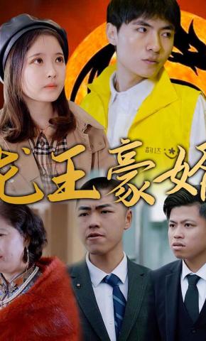 短剧龙王豪婿海报