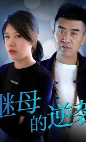 短剧继母的逆袭海报