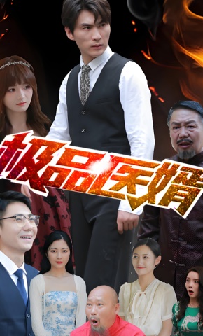 短剧极品医婿海报