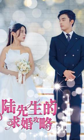 短剧《陆先生的求婚攻略》海报