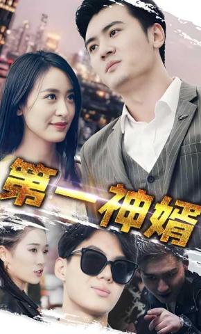 短剧第一神婿海报