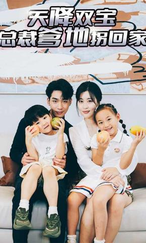 短剧天降双宝，总裁爹地拐回家海报