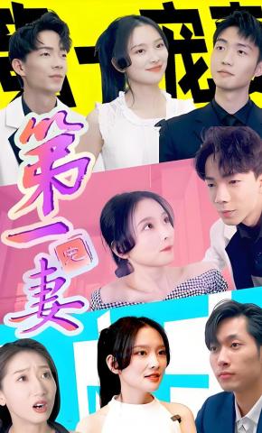 短剧第一宠妻海报