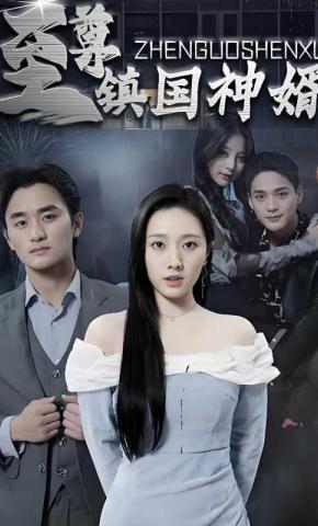 短剧《至尊镇国神婿》海报