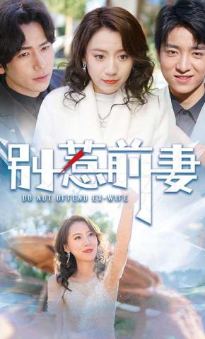 短剧《别惹前妻》海报