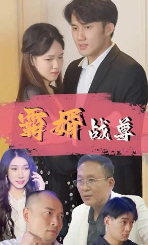 短剧霸婿战尊海报