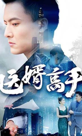 短剧《医婿高手》海报