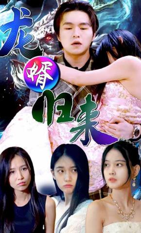 短剧《龙婿归来》海报