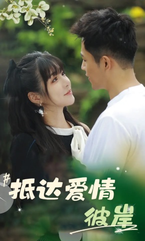 短剧抵达爱情彼岸海报