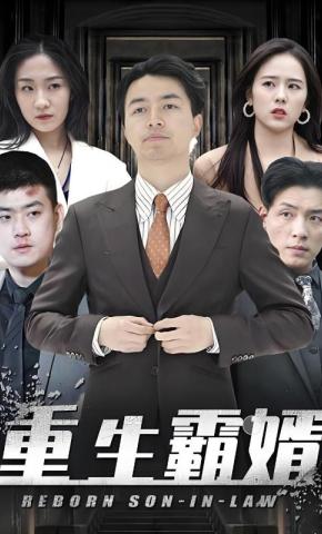 短剧《重生霸婿》海报