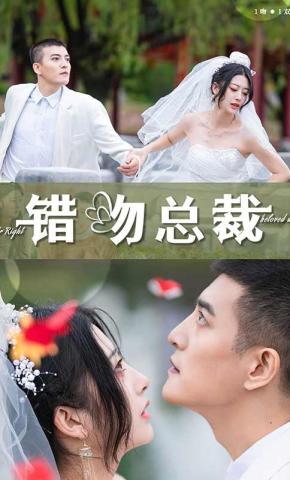 短剧错吻总裁海报