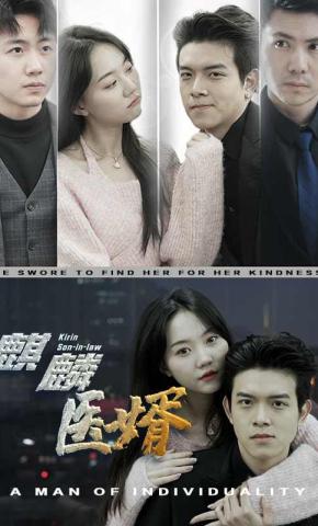 短剧麒麟医婿海报