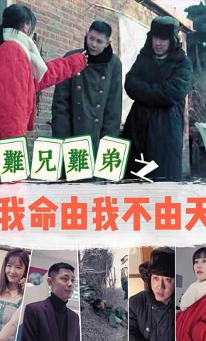 短剧难兄难弟海报