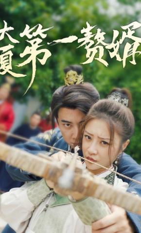 短剧大夏第一赘婿海报