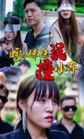 短剧瞎子误撞小车海报