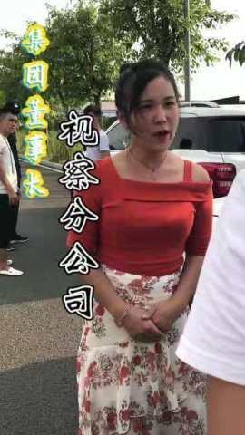 短剧董事长视察分公司海报