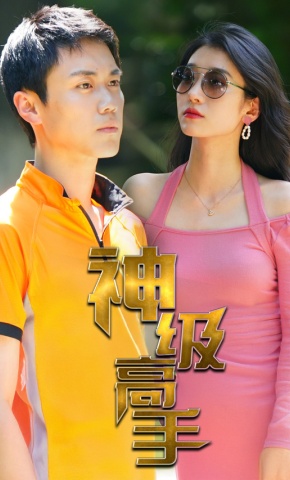 短剧《神级高手》海报