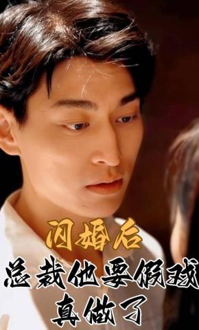 短剧闪婚后总裁他要假戏真做了海报