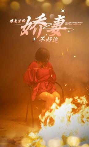 短剧傅先生的娇妻不好追海报