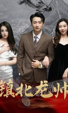 短剧镇北龙帅海报