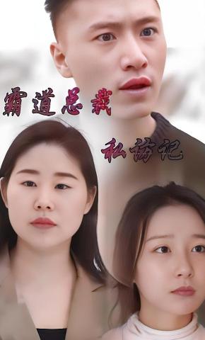 短剧霸道总裁私访记海报