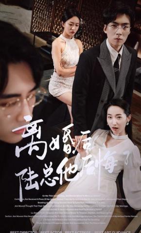 短剧《离婚后陆总他后悔了》海报