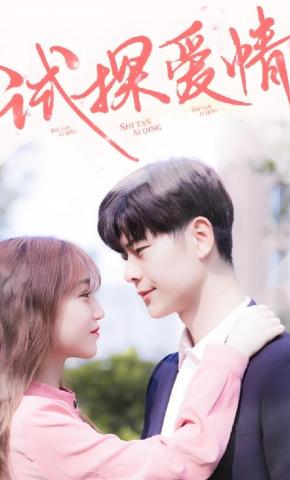 短剧试探爱情海报