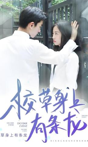 短剧校草身上有条龙海报