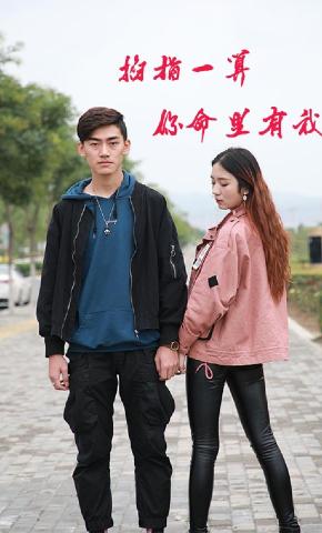 短剧命中注定的爱情海报