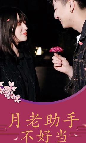 短剧月老助手不好当海报
