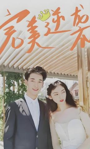 短剧完美逆袭海报