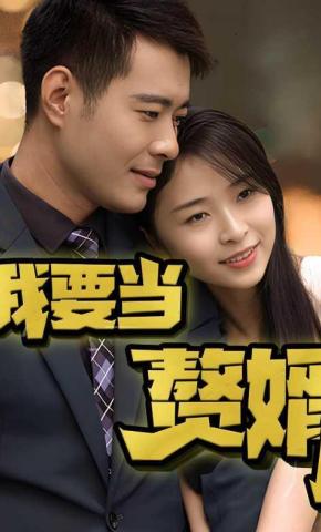 短剧我要当赘婿海报