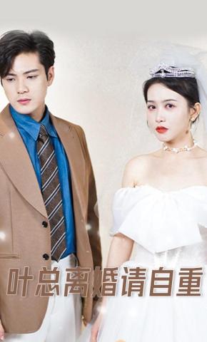 短剧叶总离婚请自重海报