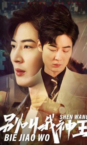 短剧别叫我神王海报