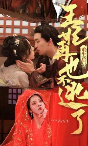 短剧《重生后王妃再也不逃了》海报