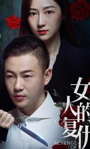 短剧《女人的复仇》海报