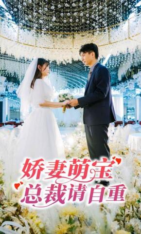 短剧娇妻萌宝，总裁请自重海报