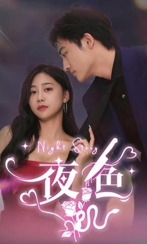 短剧《夜色》海报